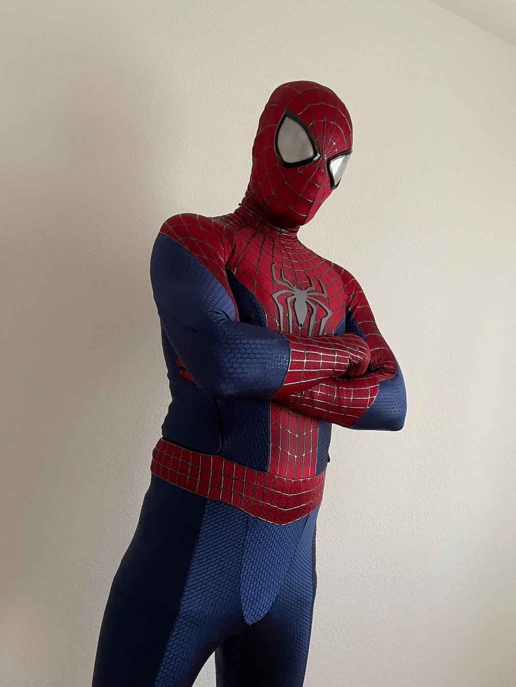 Costumi: SPIDERMAN COSPLAY MOVIE KOSTÜM COMICS DC MARVEL – Usato da Rain venduto da JerseyLegends 6