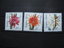 DDR 1989 Blattkakteenzüchtungen  **