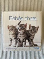 Livre « Bébés chats »