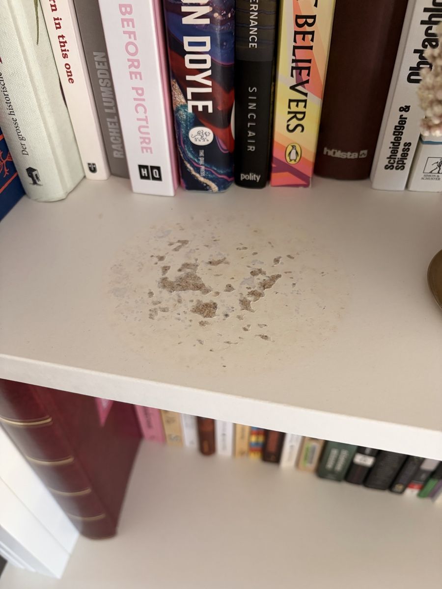 Regale: Bücherregal mit Türen – Gebraucht aus Winterthur von emi_cgg7 3