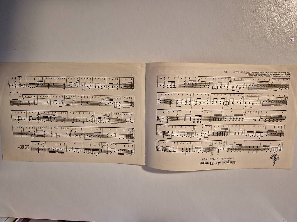 Strumenti musicali: Akkordeon Noten diatonisch – Usato da Rüegsauschachen venduto da miamabru 1