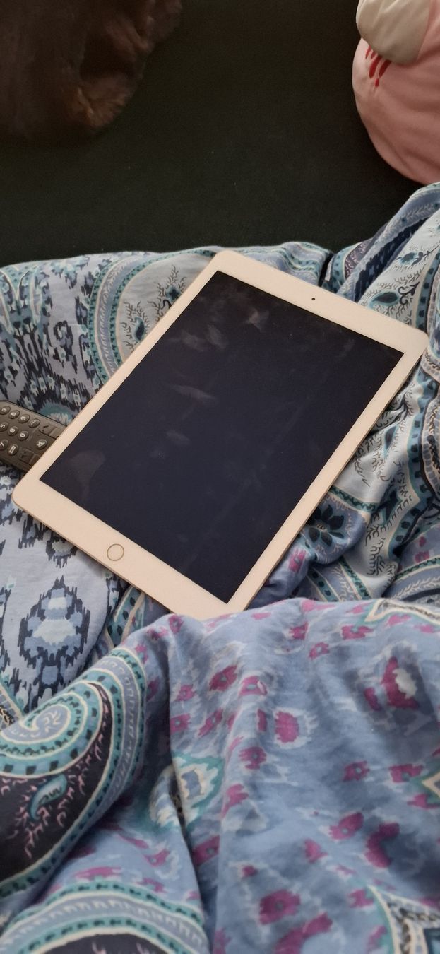 Apple Tablet PC: iPad Air 2 – Gebraucht aus Bonstetten von atiale 1