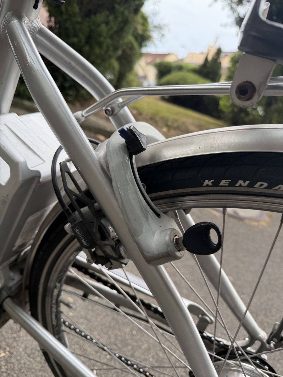 Flyer Biciclette: Flyer E-bike 399Watt Halt noch gut – Usato da Zürich venduto da Ismail-GG 5