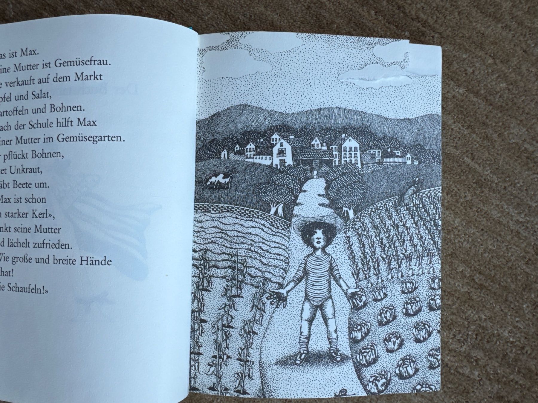 Livres: Der Buchstabenkönig -Eveline Hasler – D'occasion à Aarau par Kilauea 1