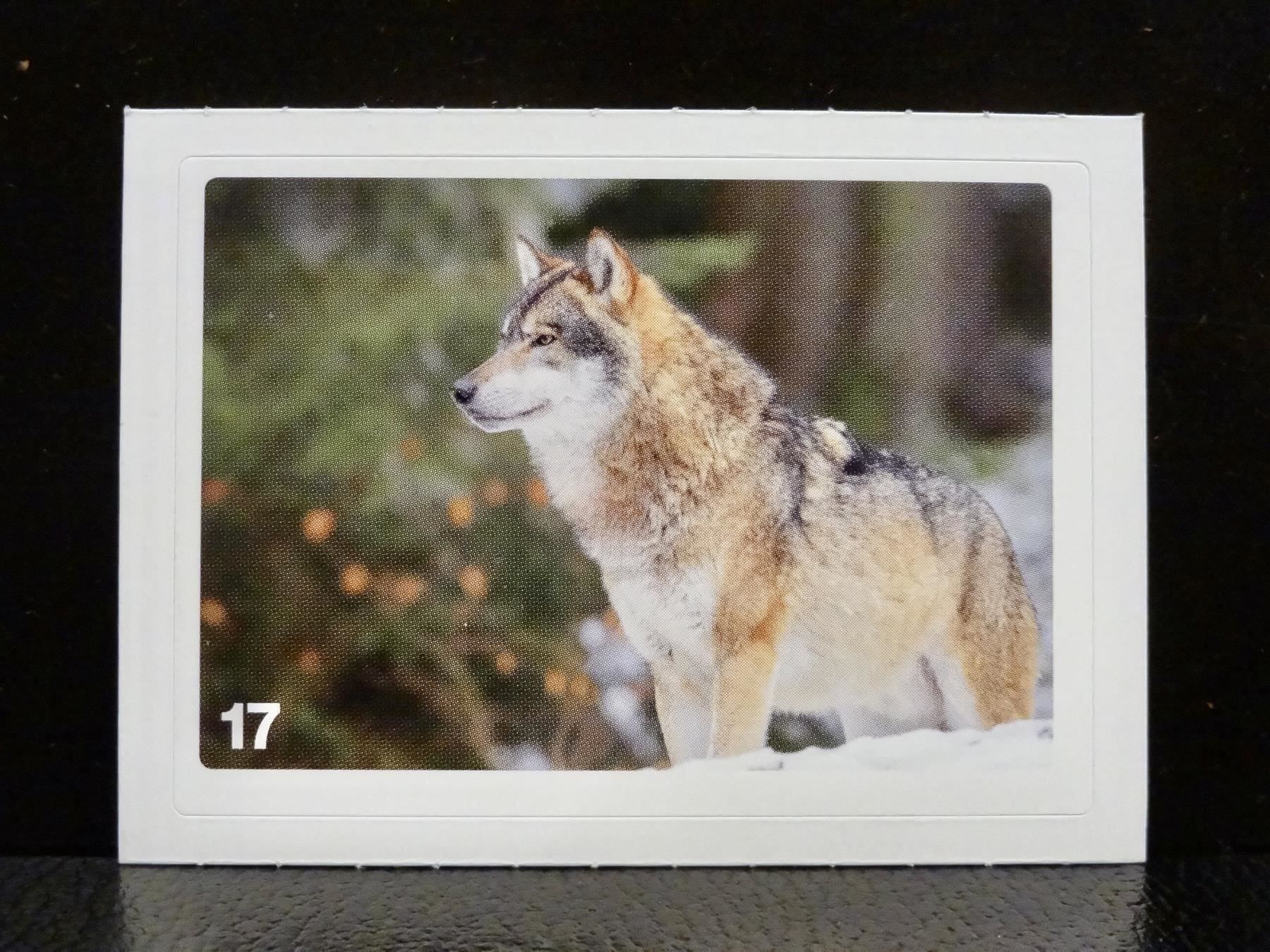 Migros Carte collezionabili: MIGROS MANIA Nature Detectives Nr. 17 – Usato da Kerzers venduto da zimmergruen