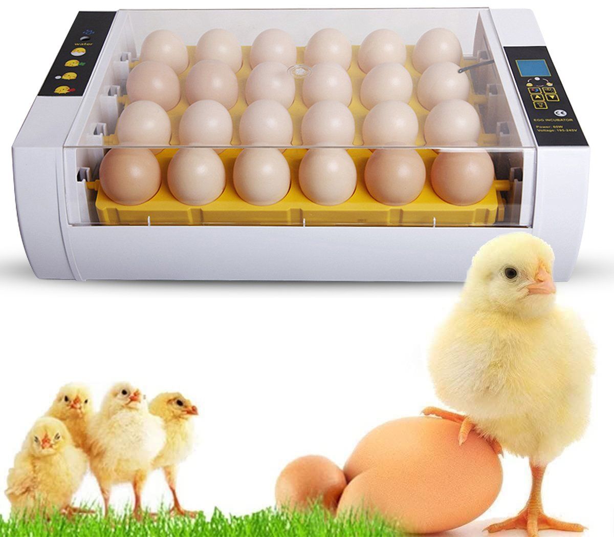 Sonstiges Tierzubehör: 24 Eier Brutmaschine Brutkaste Inkubator – Neu (gemäss Beschreibung) aus Thun von Newnewshop 6