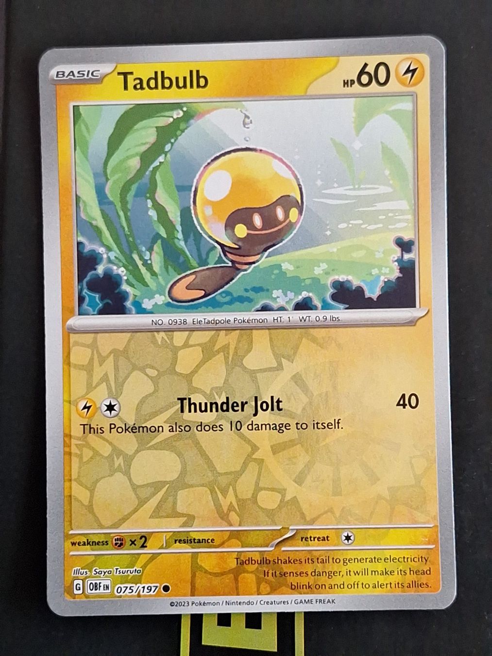 Pokémon Carte collezionabili: Tadbulb - Pokemon Reverse Holo Obsidian Flames – Usato da Altstätten SG venduto da GGsGameshop