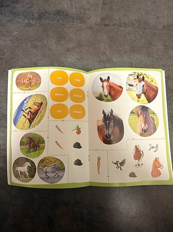 Libri: Erstes Lesen - Pferde Ponys – Usato da Rueras venduto da fscw 2