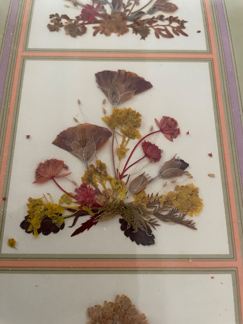 Dipinti: Ancien Tableau Fleurs Séchées – Usato da Vallamand venduto da Bricbracbroc82 3