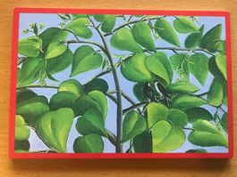 Kunst-Postkarte Naturschutz-Tram Zürich 2000-2002