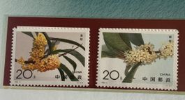 China stamps 1995 Golden Osmanthus