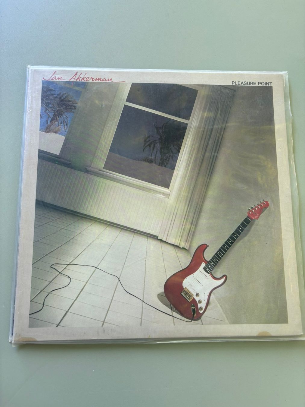 Dischi in vinile: Akkerman, Jan  - Pleasure Point - DE - 1982 - WEA – Usato da Zofingen venduto da Bigron