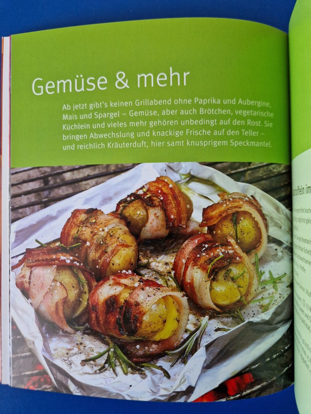 Bücher: GU Gräfe und Unzer Buch: Grillen – Gebraucht aus Münchenbuchsee von Aare22 7