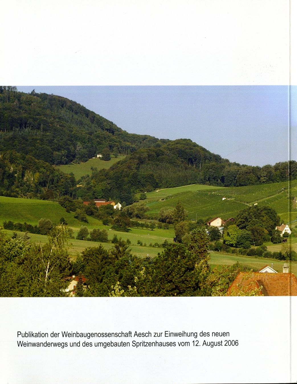 Libri: Aesch, Pfeffingen, Reben und Wein – Usato da Aarau venduto da Elmaar41 1