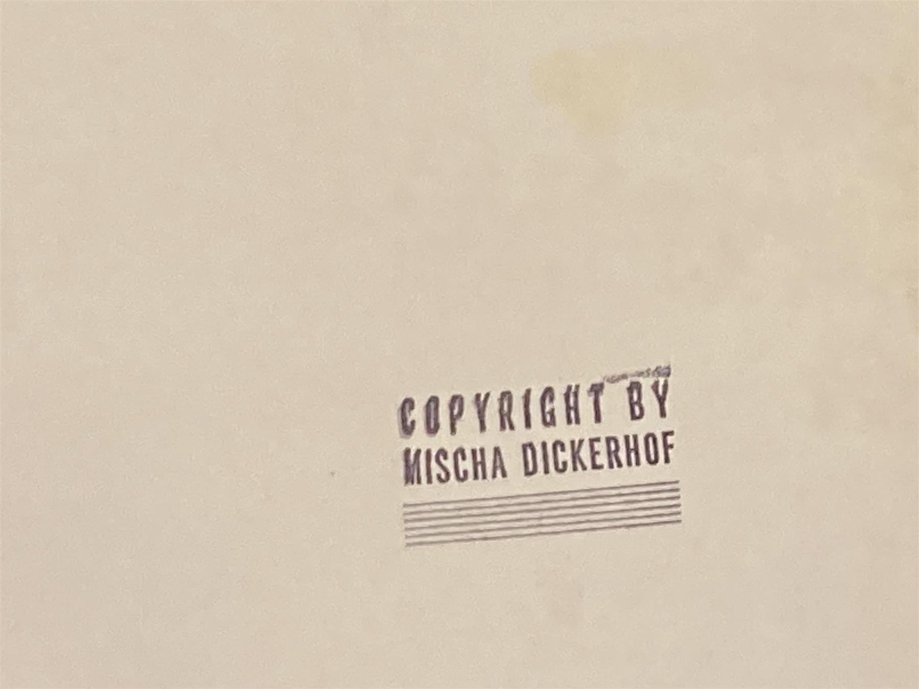 Foto & Immagini: DICKERHOF Mischa Photographie signiert – Usato da Bern venduto da Jwpm66 4