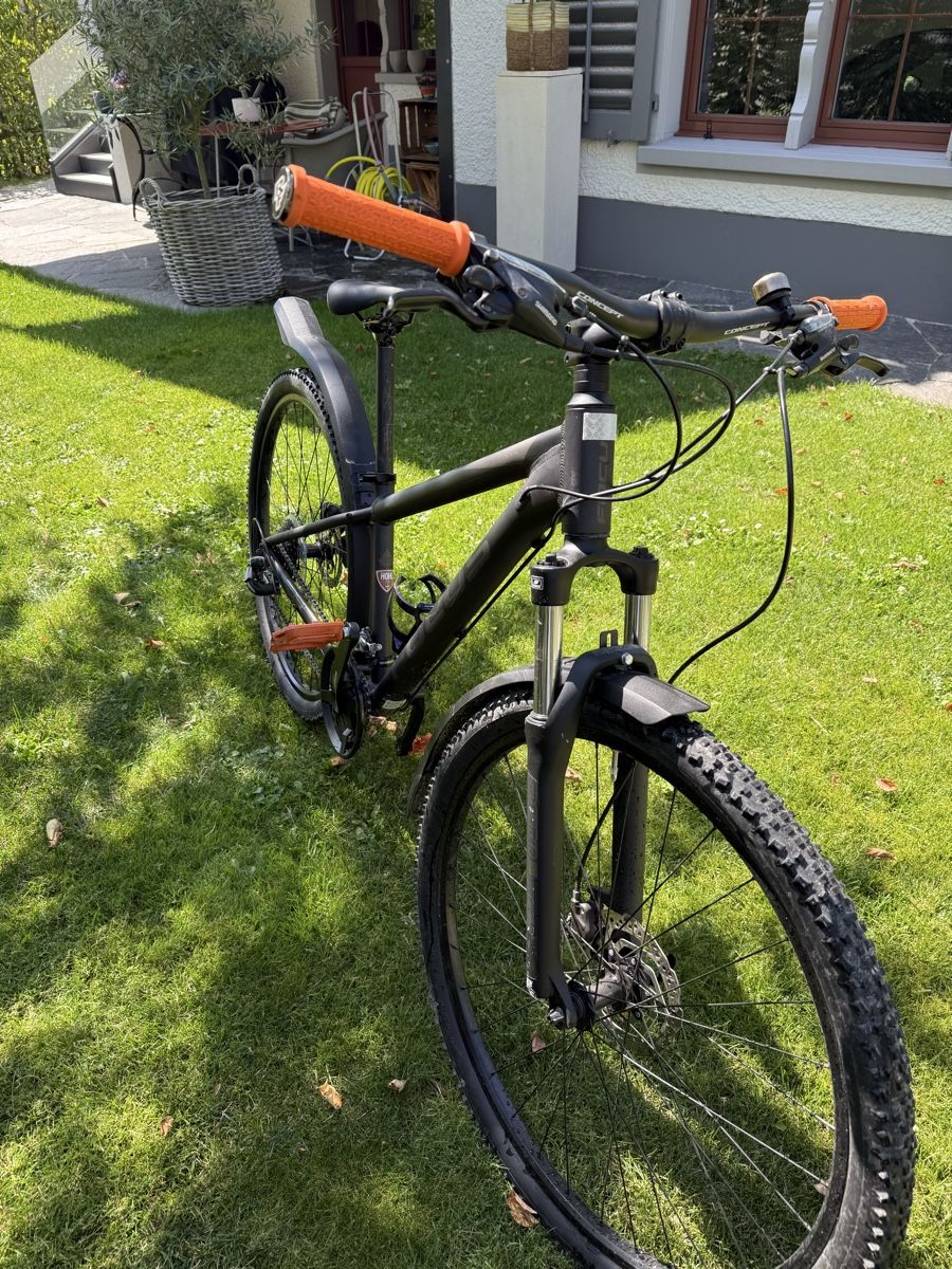 Focus Biciclette: Focus Mountainbike M Grösse XS  – Usato da St. Gallen venduto da Bt5 4