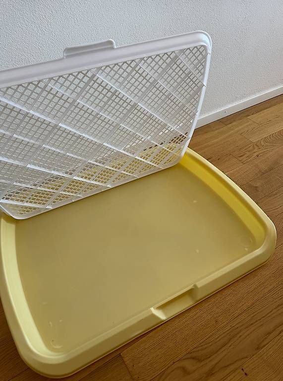 WC: Large Flat Dog Toilet – Usato da Lausanne venduto da ais_yxt8 2