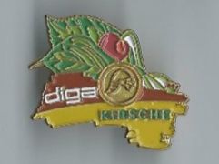 Plaquettes & Badges: Diga, Pin – D'occasion à Zürich par t24_de