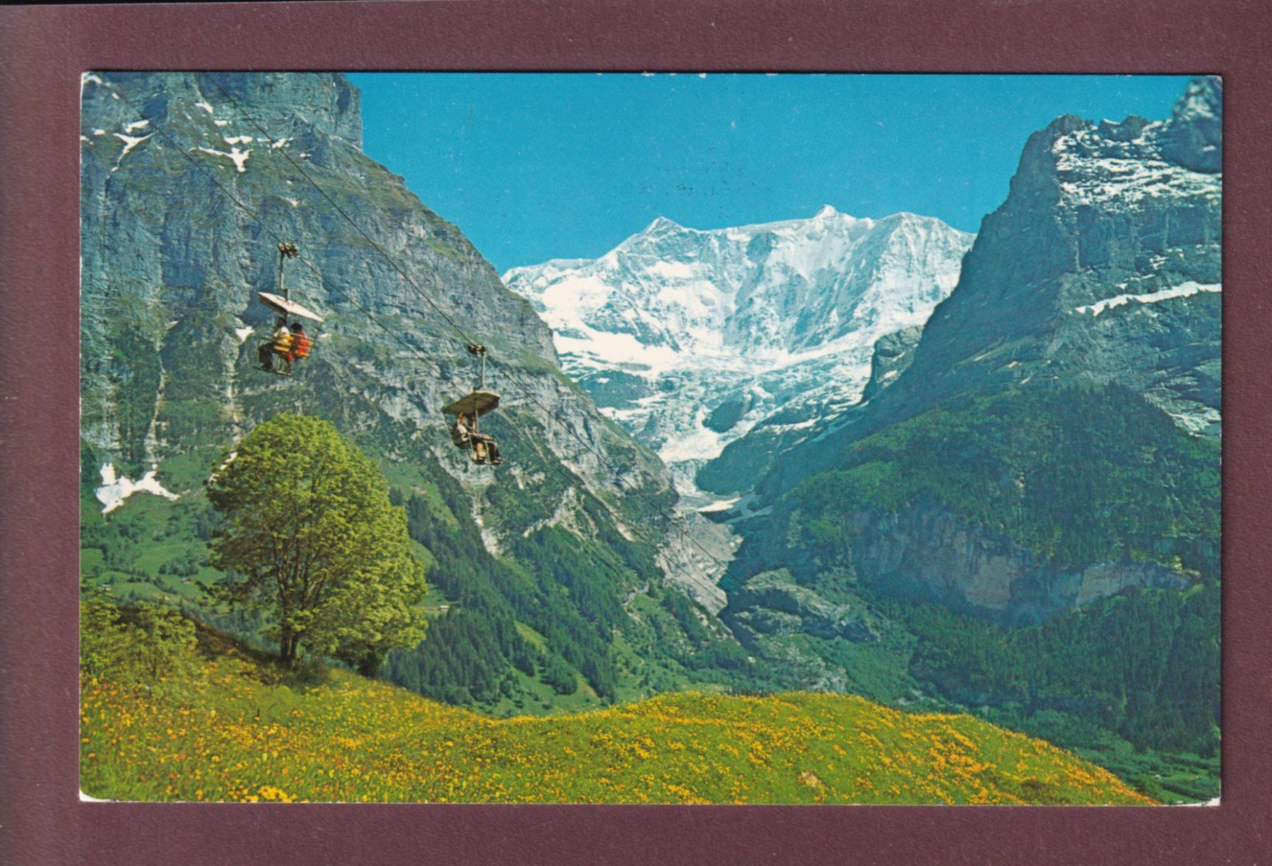 Cartoline postali: GRINDELWALD - Firstbahn - Fiescherhörner - 1970 – Usato da Pully venduto da nicecards