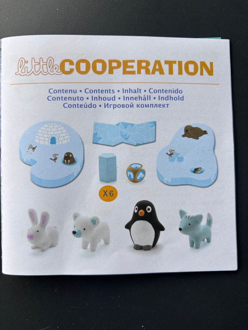 Djeco Giochi: Little Cooperation by Djeco – Usato da Brugg AG venduto da tsannen 2