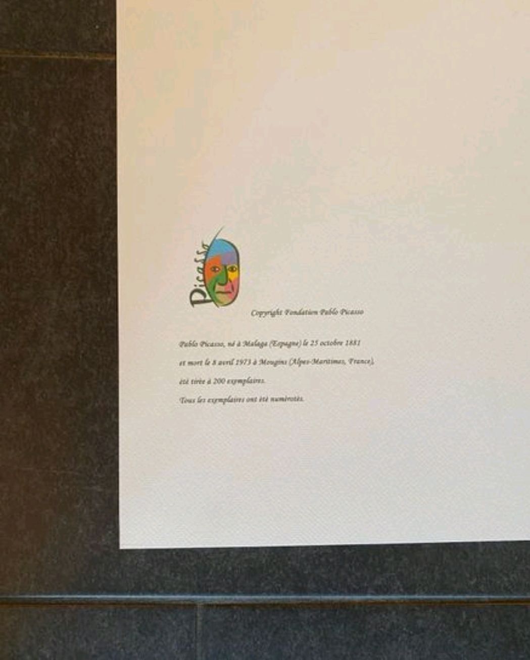Poster & Bilder: Pablo Picasso  Litho. 174/200 – Neu (gemäss Beschreibung) aus Bern von artBoutiquech 2