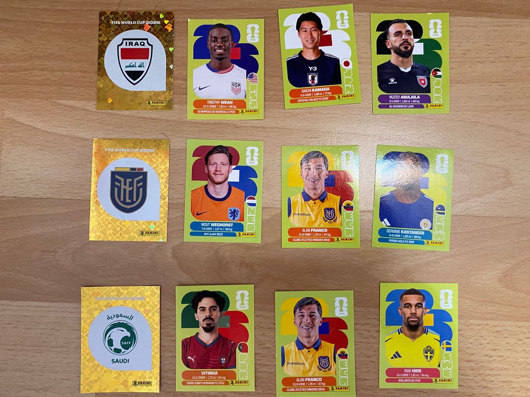 Panini Carte collezionabili: FIFA WM 2026 Panini – Usato da Speicherschwendi venduto da ChHW