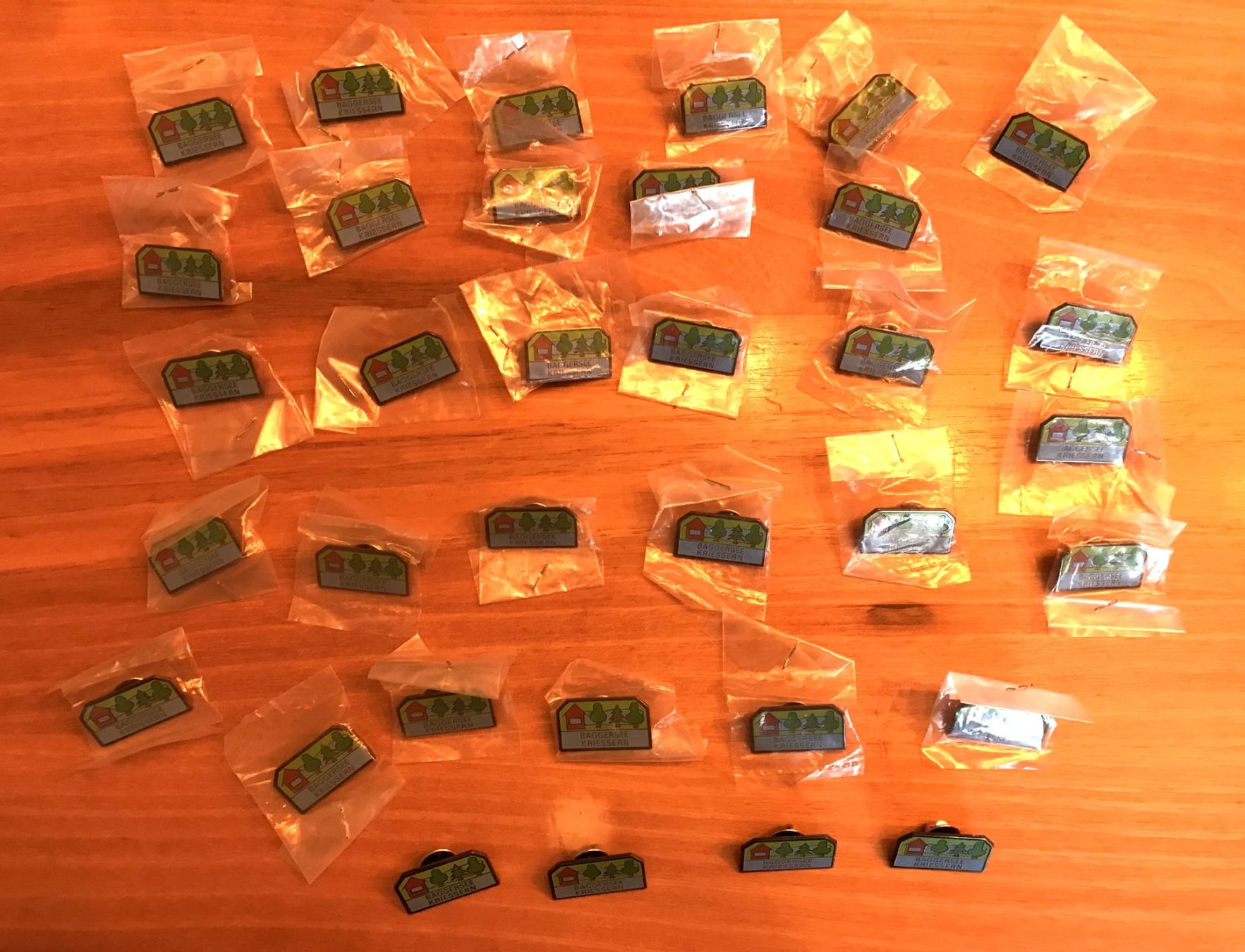 Placchette & Badge: Sammlung Anstecker Pins – Usato da Altstätten SG venduto da Nik2009 8