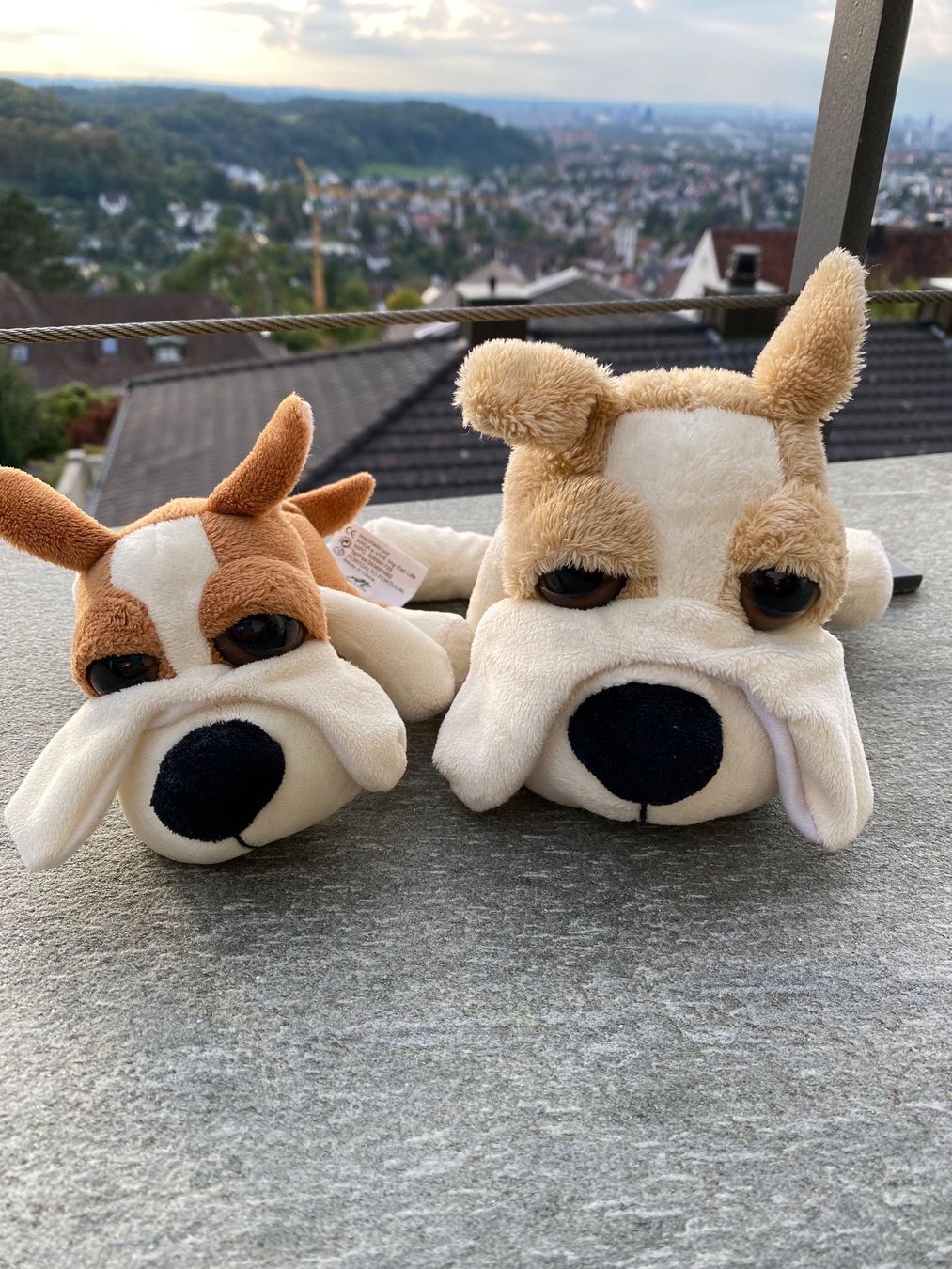 Giocattoli: 2 Plüsch Hunde – Usato da Muttenz venduto da Fantom03
