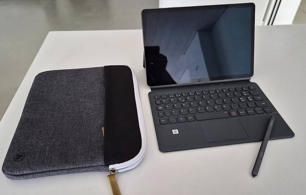 Tablet PC: Samsung Tab S8 – Usato da Zürich venduto da rod_flj6