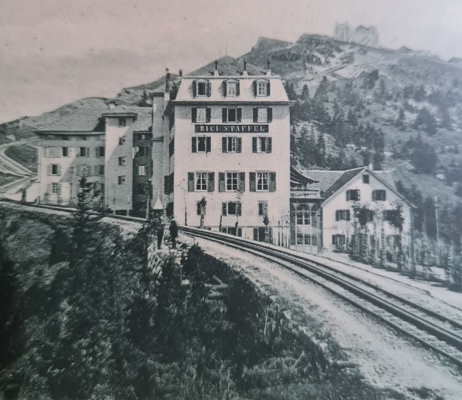 Cartoline postali: antike Karte Rigi Staffel – Usato da Ebikon venduto da Donar50 1