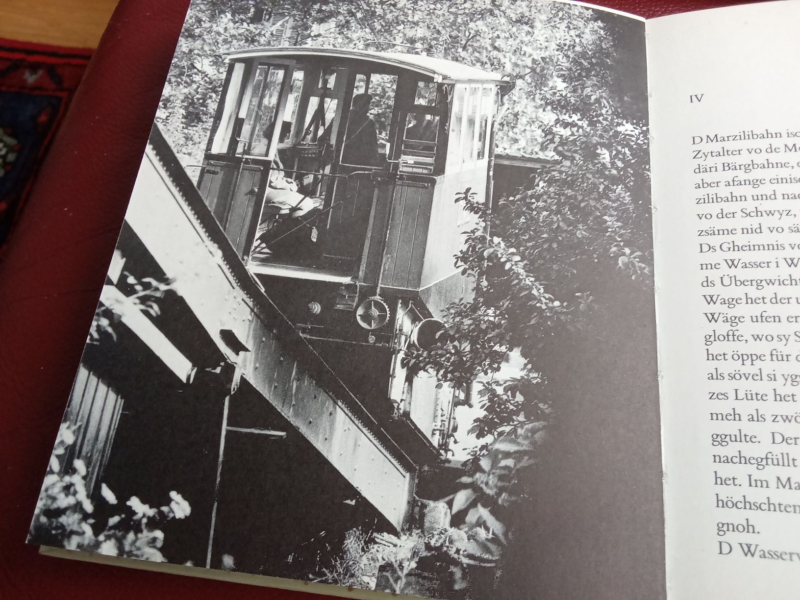 Libri: D MARZILIBAHN – Usato da Muri BE venduto da Alk 3