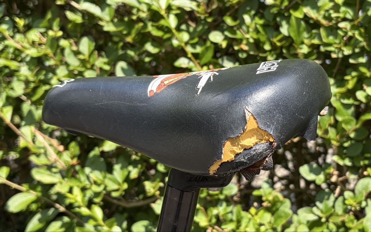 Specialized Biciclette: Specialized Hotrock Kindervelo / Kinderfahrrad – Usato da Horgen venduto da mph3000 9