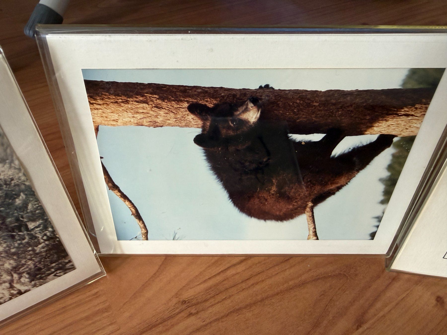 Bilderrahmen: Fotorahmen Acryl – Gebraucht aus Wängi von squirrelwoman 2