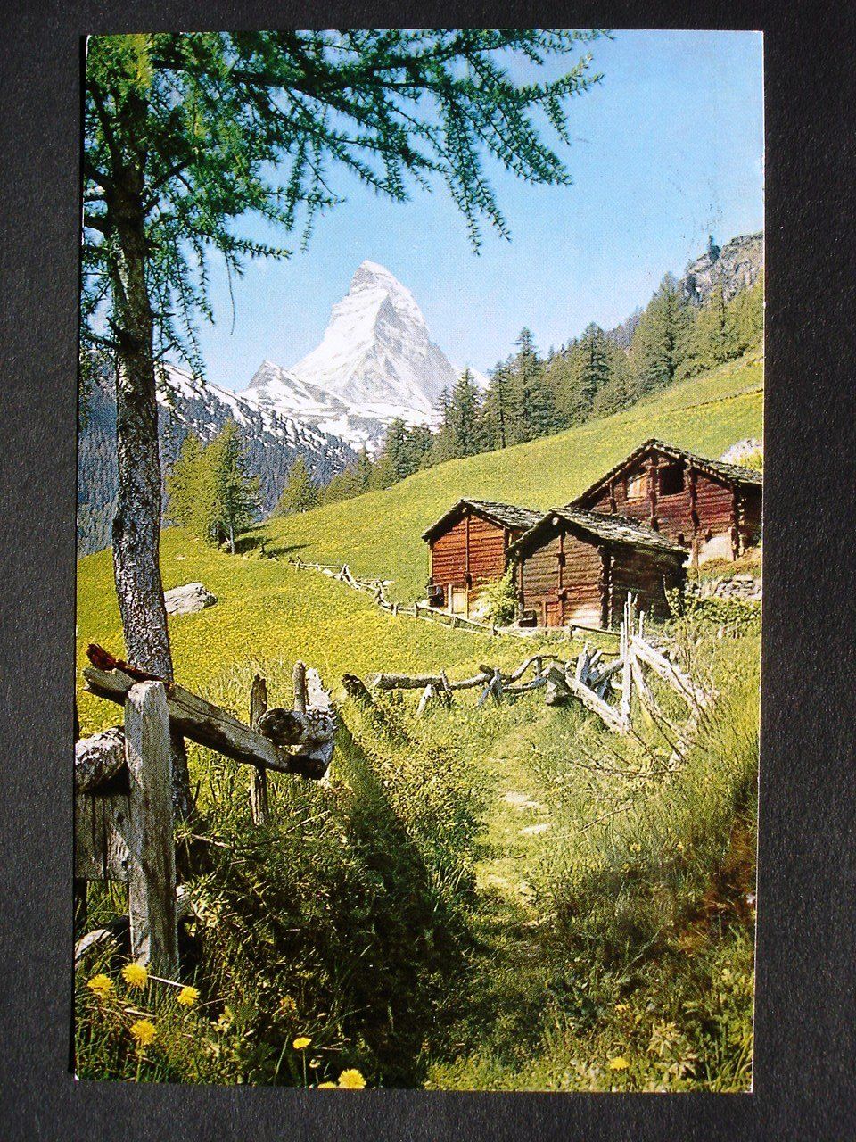 Ansichtskarten: ZERMATT mit Matterhorn – Gebraucht aus Jona von philajona