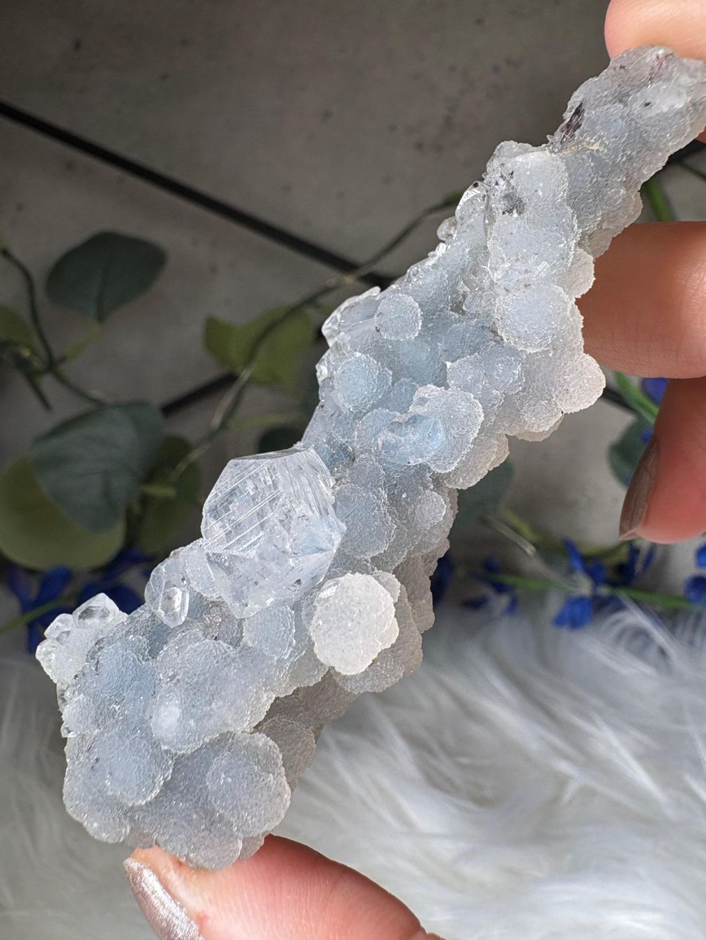 Minerali & Pietre curative: Grüner Chalcedon-Stalaktit mit Apophyllit – Nuovo e nell'imballaggio originale da Neuheim venduto da m.hald 2