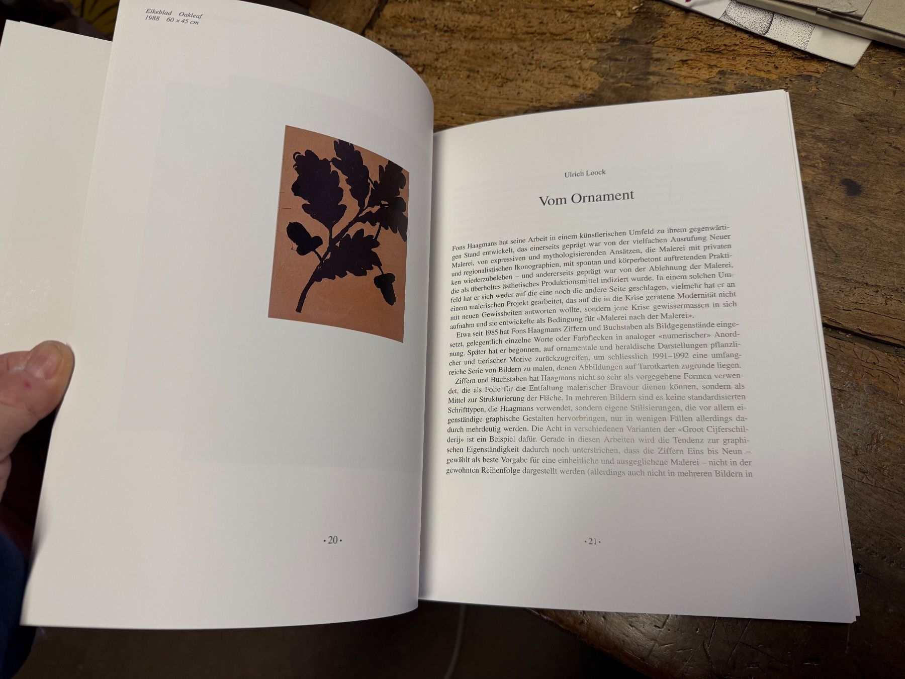 Libri: Fons HAAGMANS Kunsthalle Bern 1993 – Usato da Bern venduto da Jwpm66 3