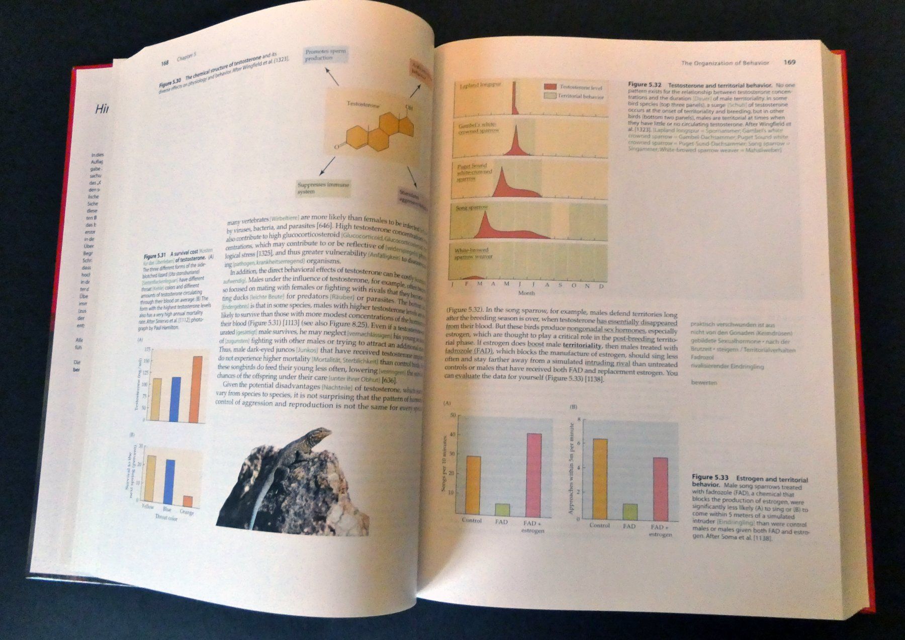Libri: Animal Behavior. Das Original mit Übersetzungshilfen – Nuovo (secondo la descrizione) da Zollikofen venduto da Hci 3
