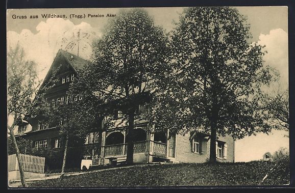 Ansichtskarten: AK Wildhaus, Pension Aker, 1910 – Gebraucht aus Berlin von bartko-reher