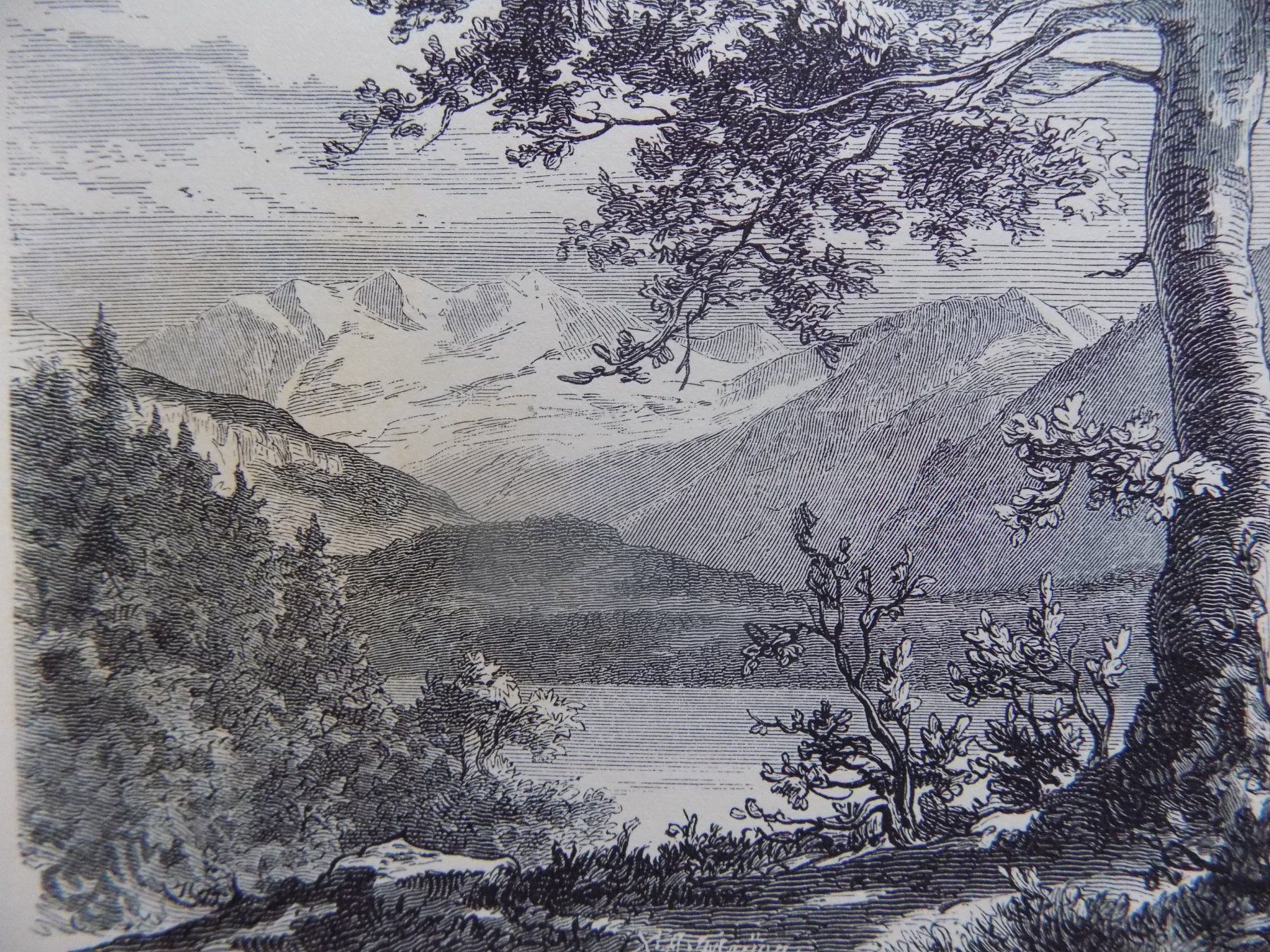 Stiche: Blümlisalp et Doldenhorn – Gebraucht aus Risch von Antikfee 3