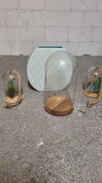Glasglocke Mit Holzsockel 30x25cm - Klare Vitrine Für Sammlerstücke & Deko