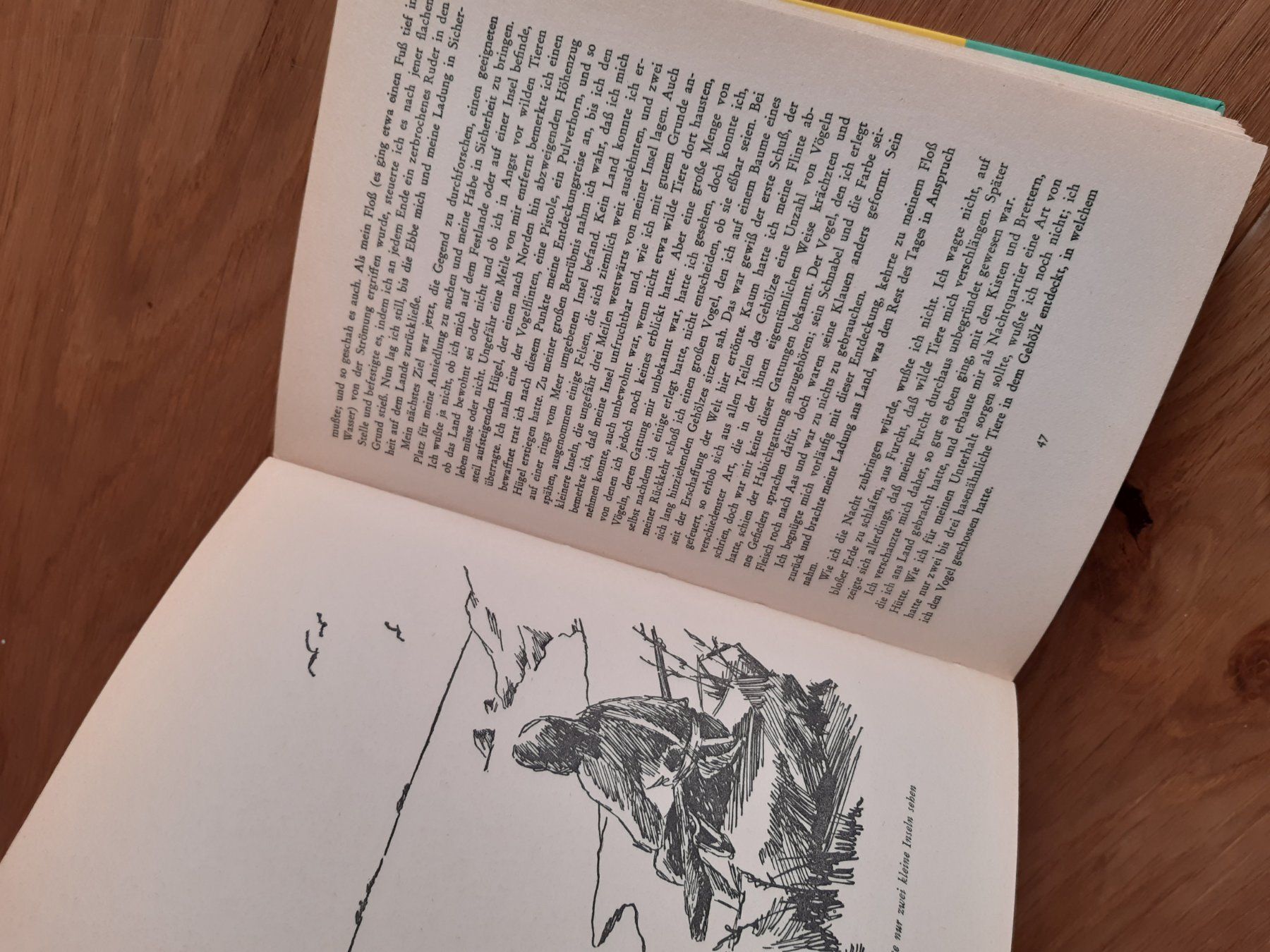 Libri: Robinson Crusoe – Usato da Nebikon venduto da Haidihooo 2
