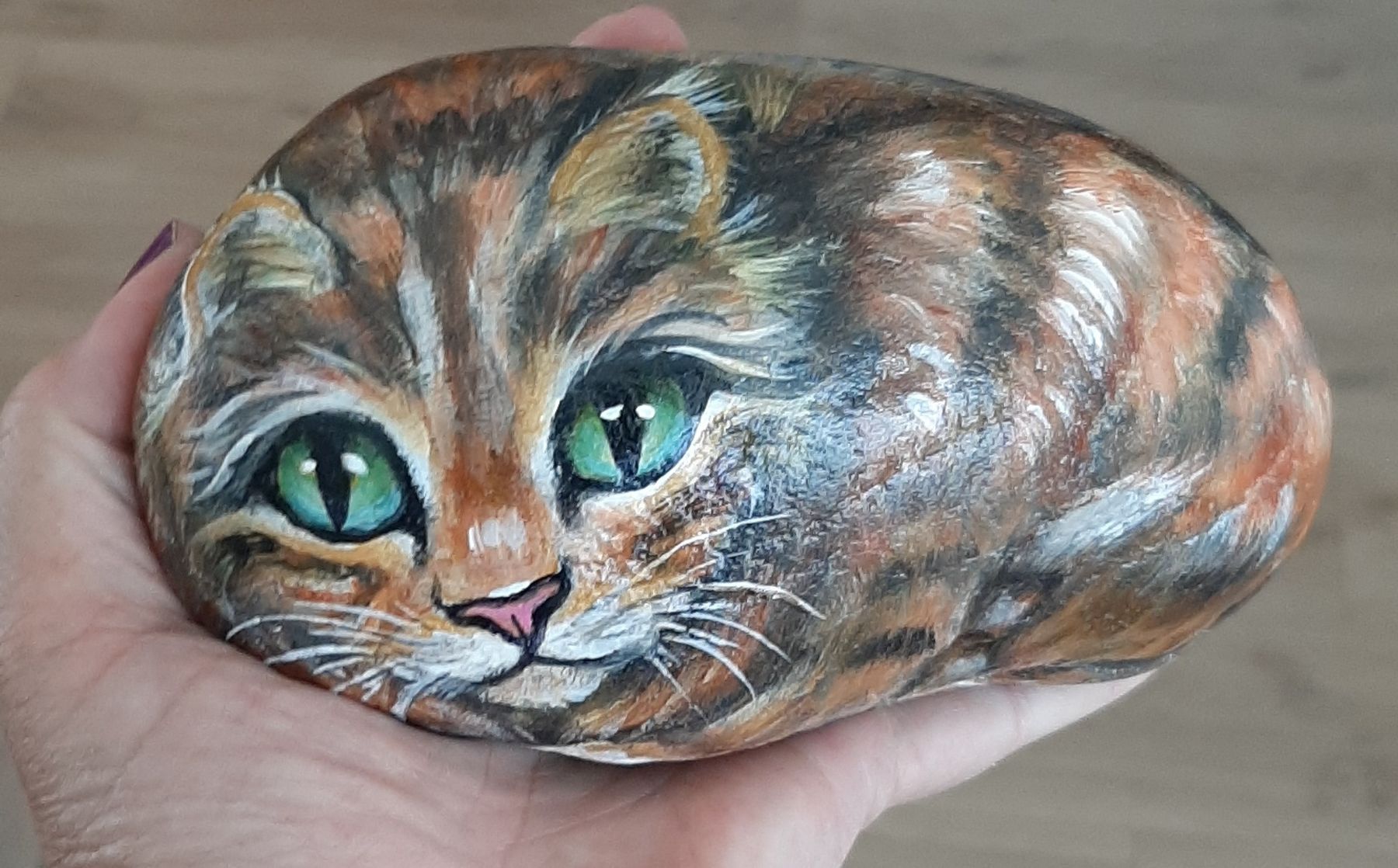 Toutes les décorations: Katze – Neuf (Voir description) à Affoltern am Albis par Fossil60