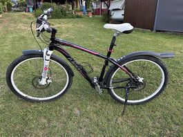 Wheeler Passera