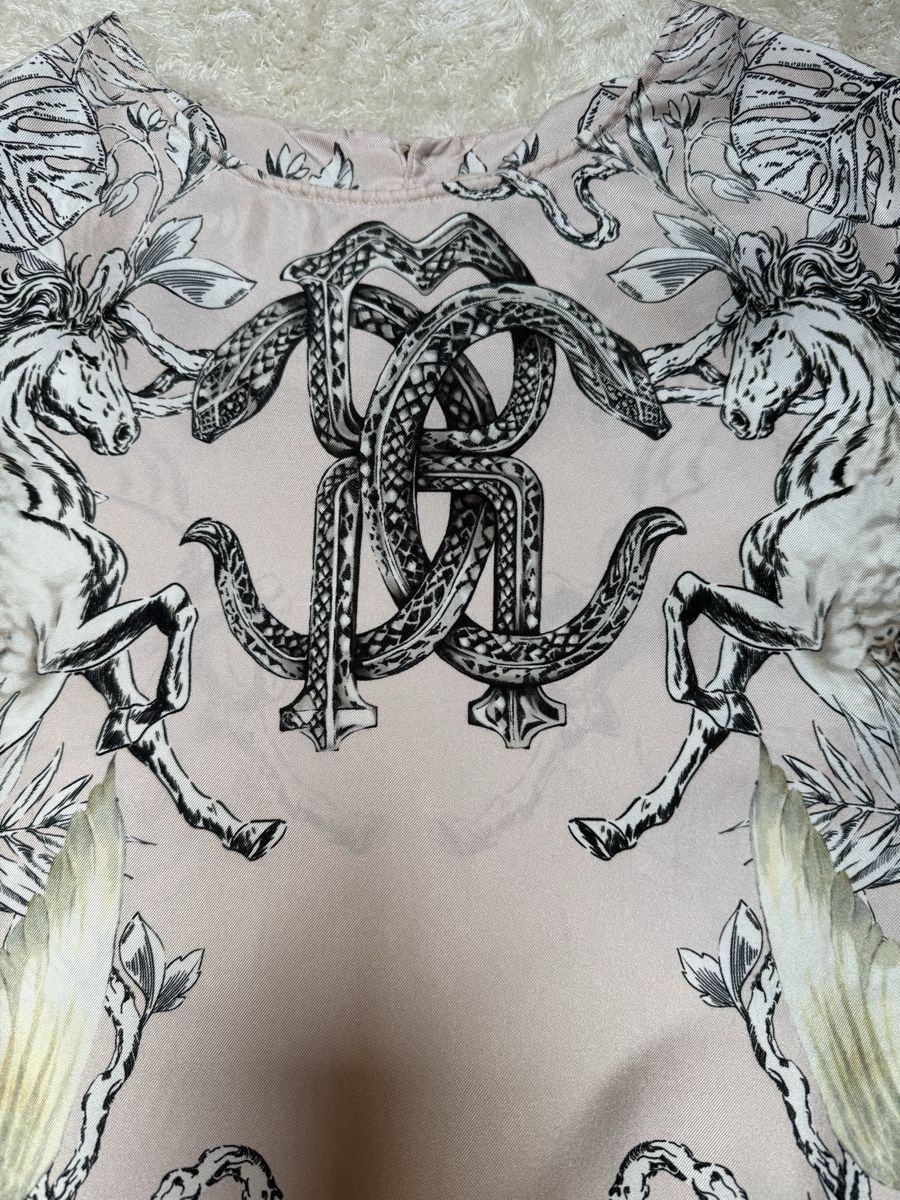 Roberto Cavalli Vestiti: Roberto Cavalli dress – Usato da Barna venduto da orbuyorcry 3