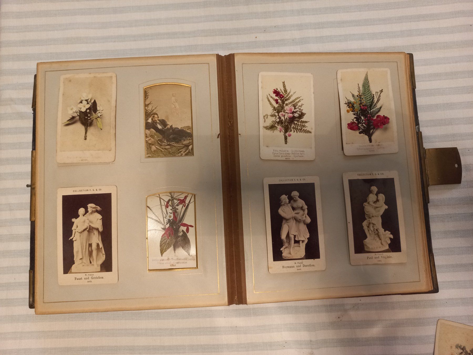 Album: Antike Fotoalbum – Usato da Reinach BL venduto da Niculescu 1