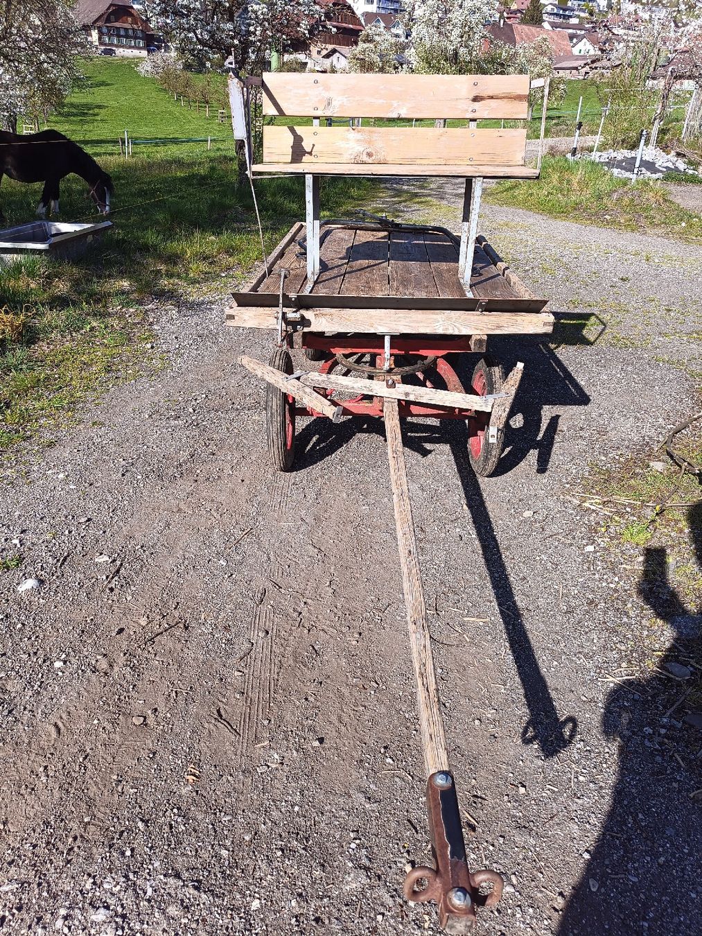 Carrozze: Pferdewagen/Ponywagen – Usato da Egolzwil venduto da Saro3000 3
