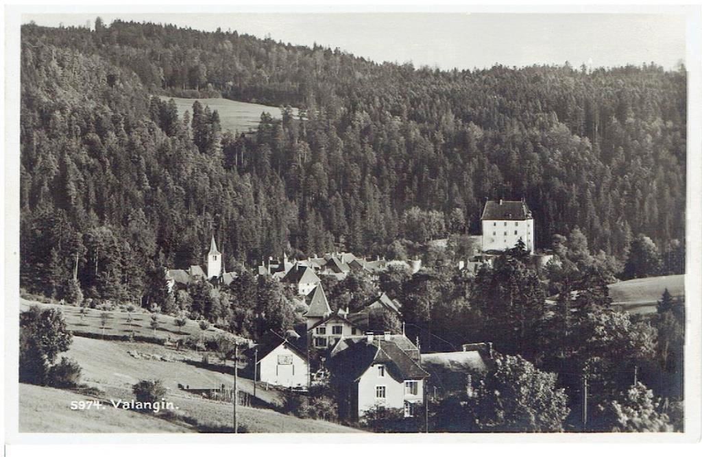 Cartes postales: Valangin – D'occasion à Flims - Dorf par Stagediver