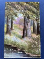 Alte Ansichtskarte O.G. Z.-L., Wald, See - Seltenes Sujet