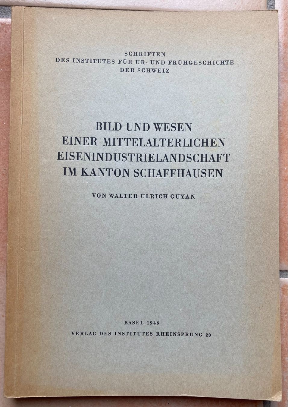 Bücher: Schaffhausen... Eisenindustrieland... – Gebraucht aus Versoix von HELVETICA_1