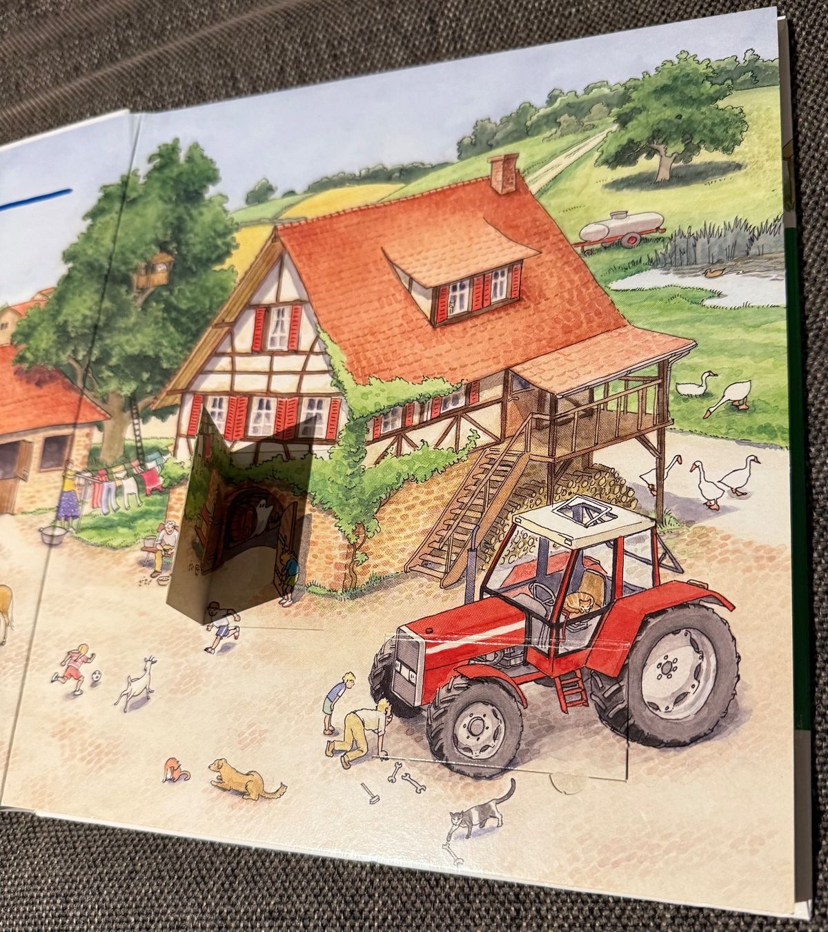 Libri: Auf dem Bauernhof – Usato da Oberbipp venduto da annegret05 3